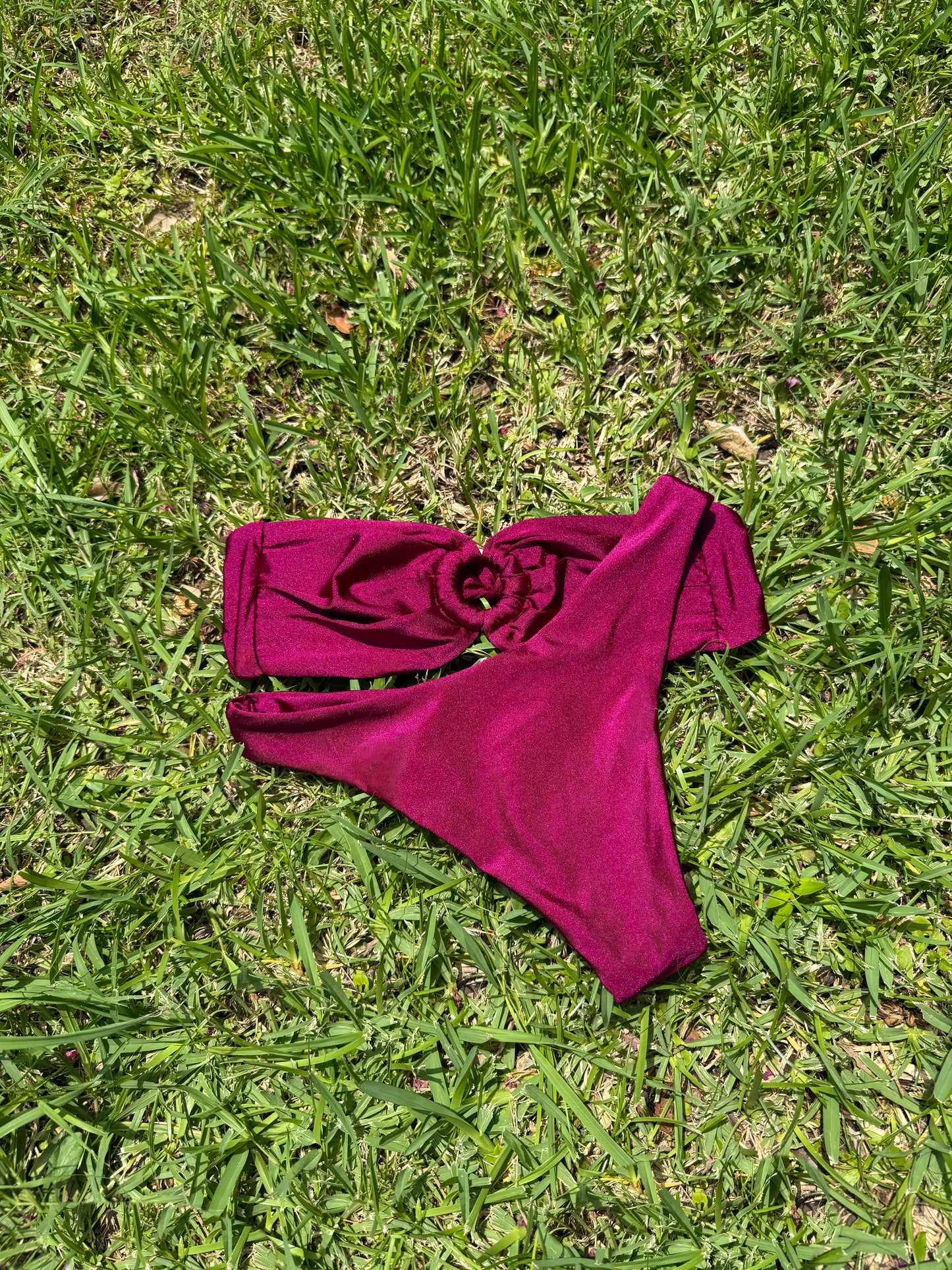 Wild Berry Bikini