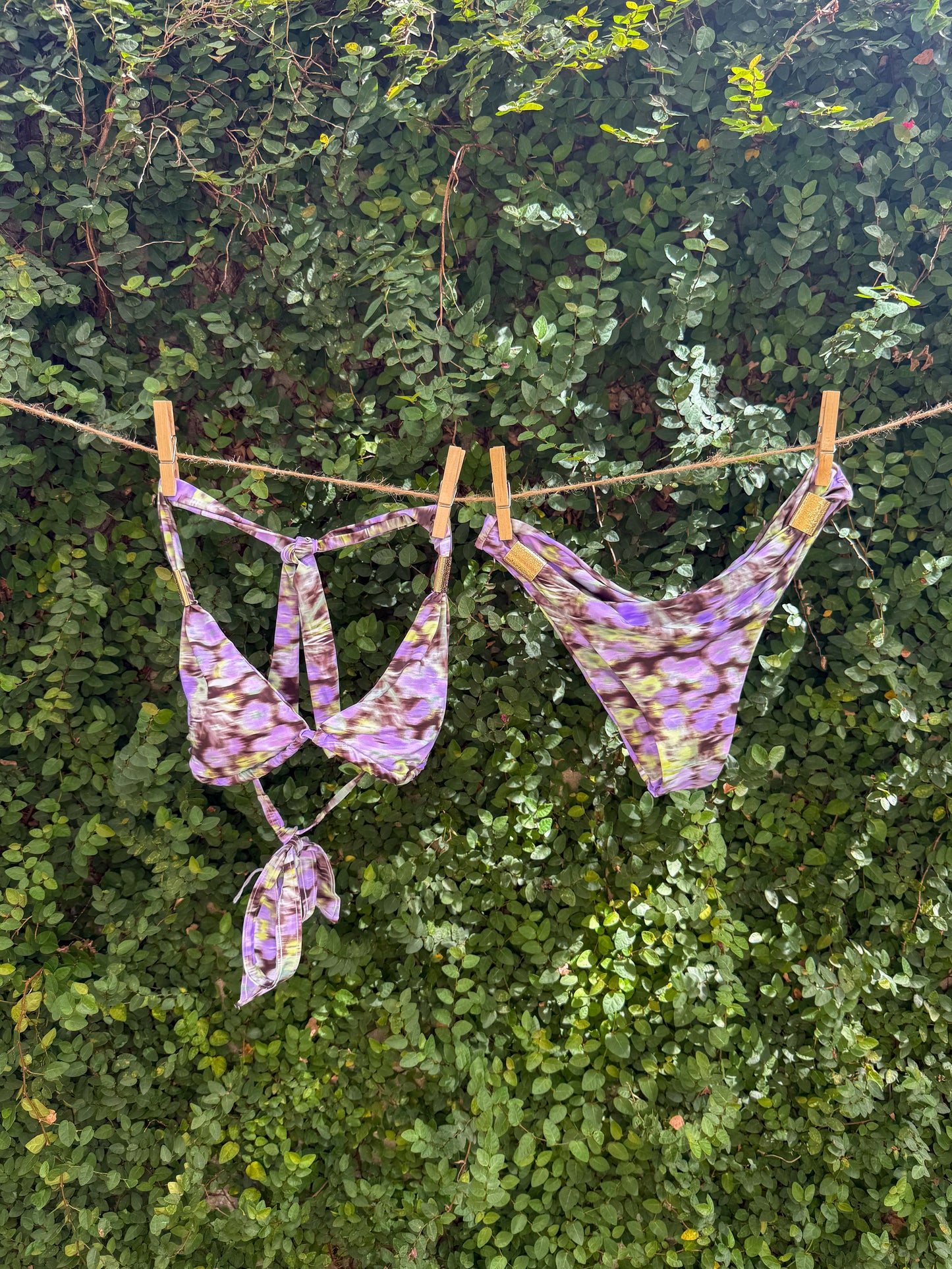 Violet Cove Bikini