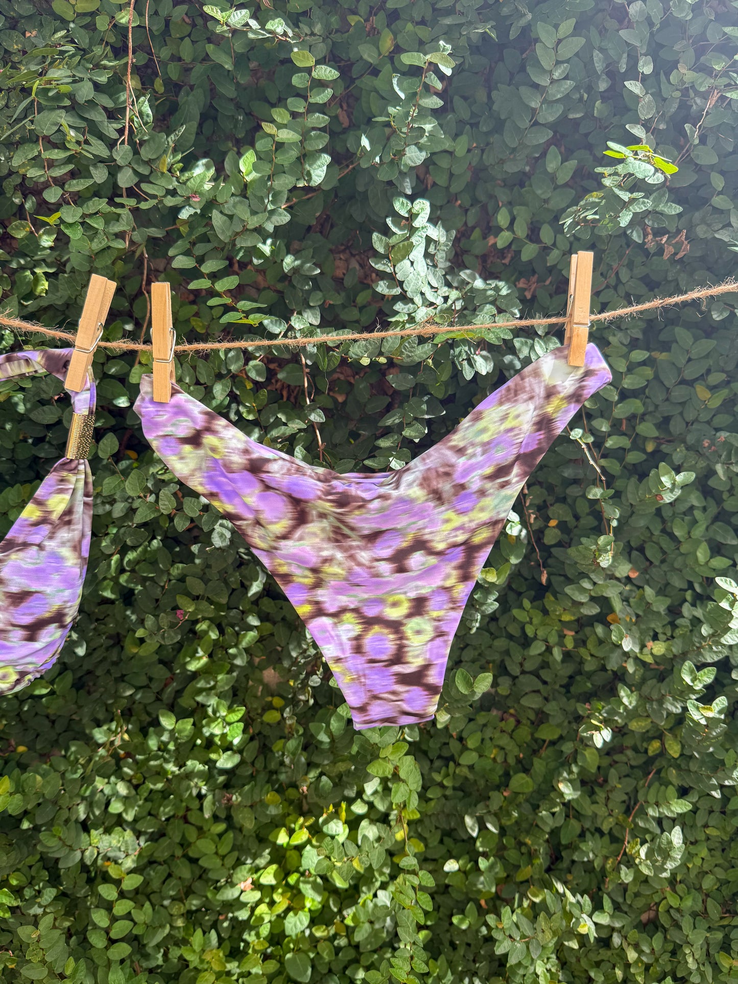 Violet Cove Bikini