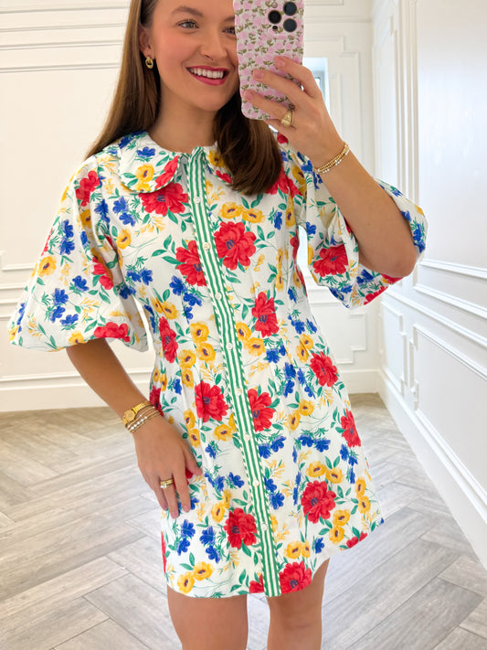 Painted Poppy Mini Dress