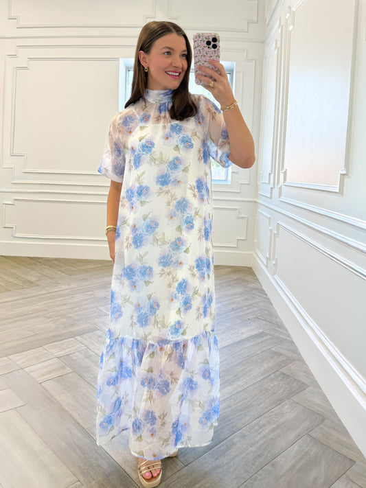 Hydrangea Sheer Maxi Dress