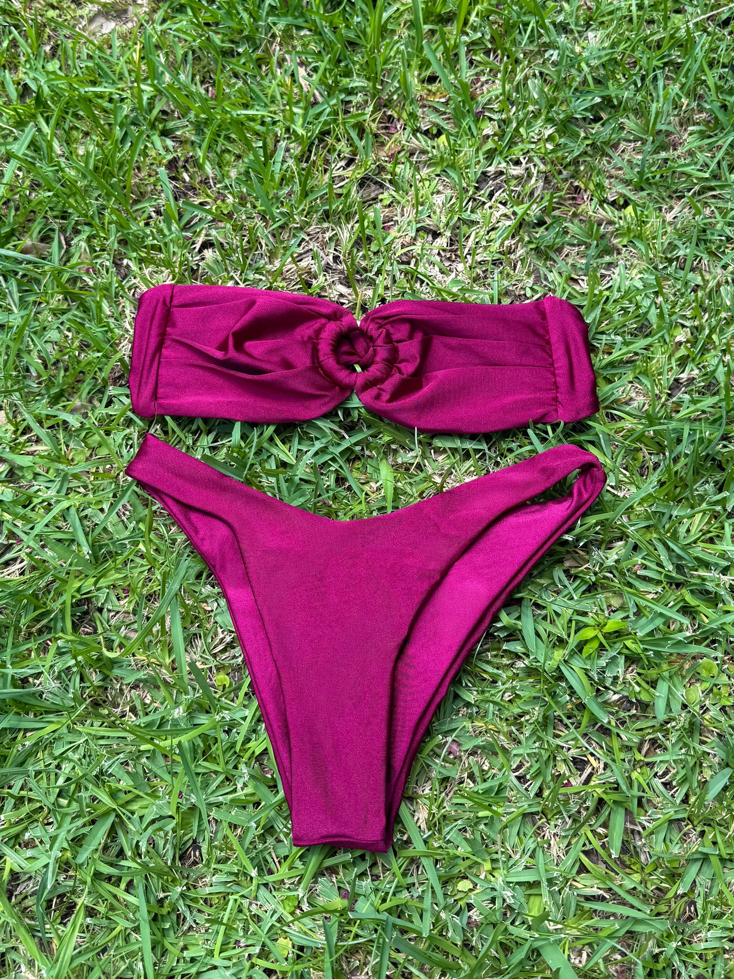Wild Berry Bikini
