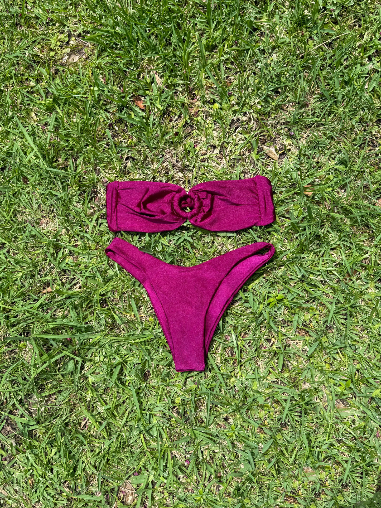 Wild Berry Bikini