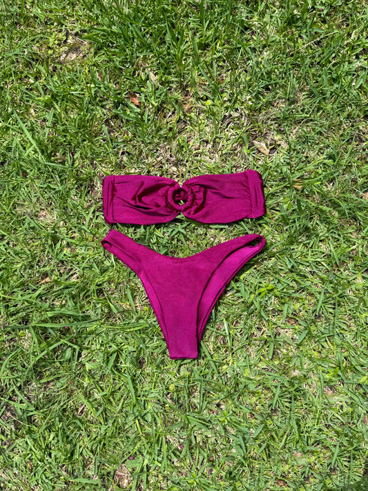 Wild Berry Bikini