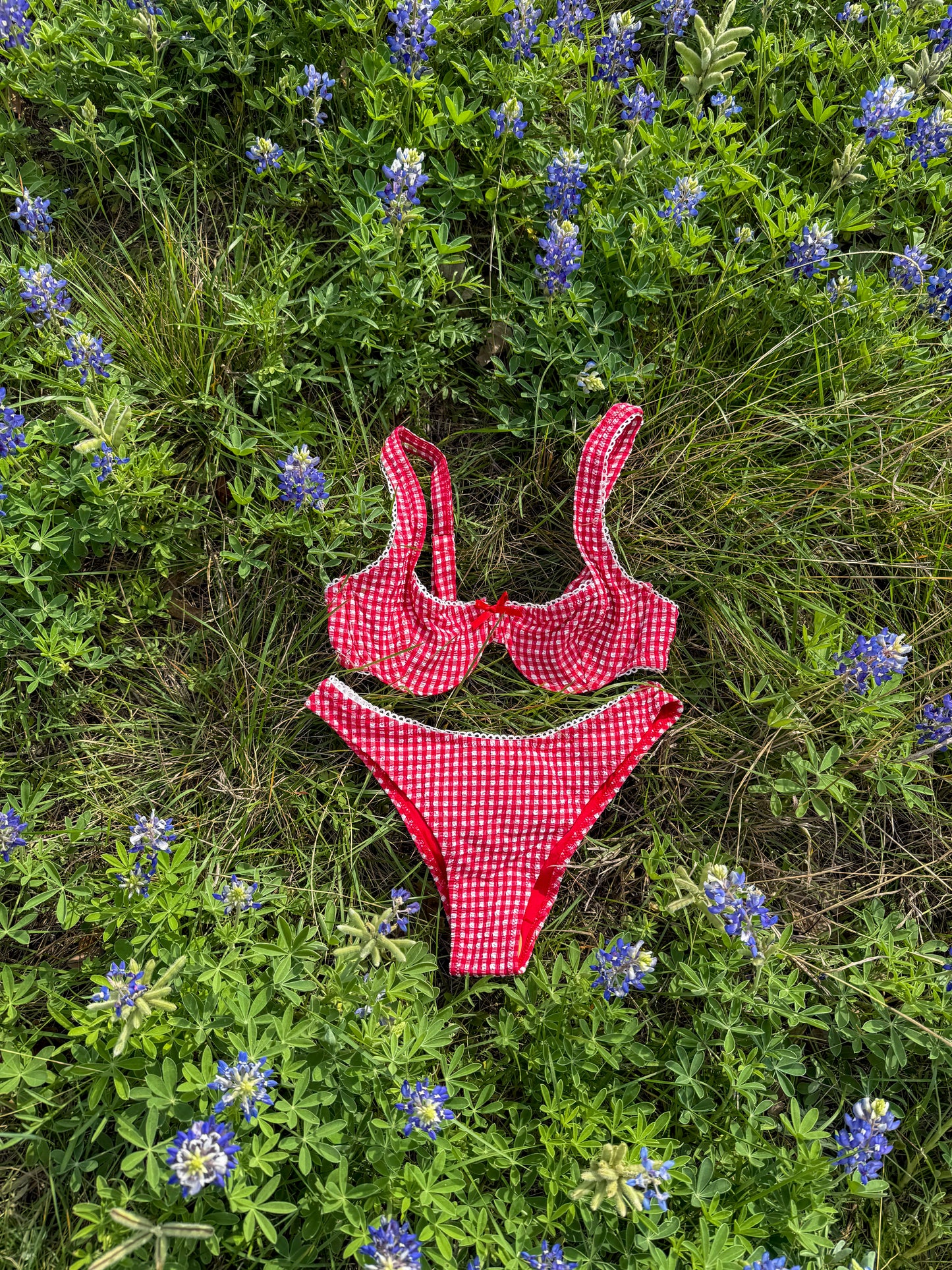 Cherry Picnic Gingham Bikini