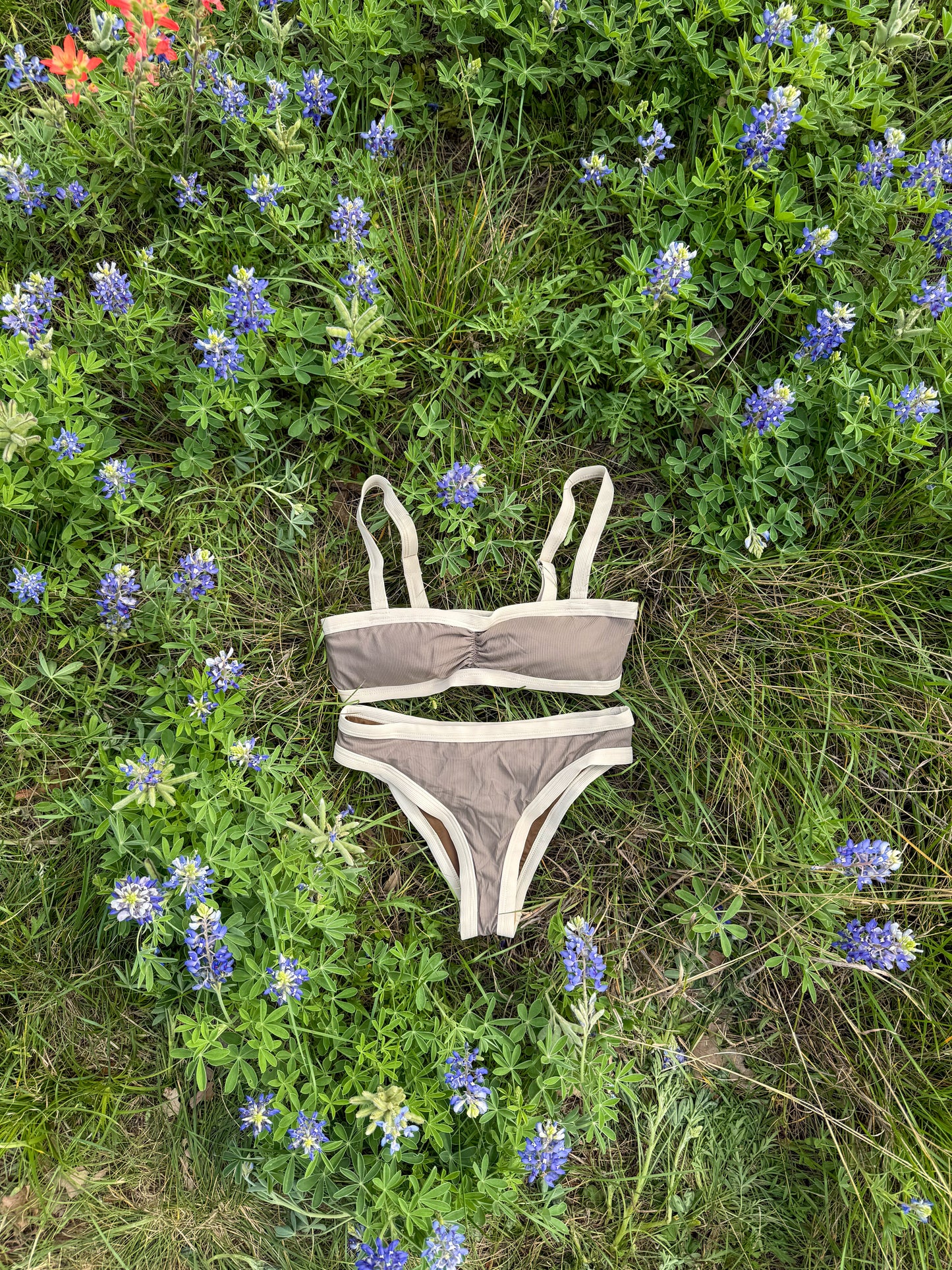 Champagne Coast Bikini