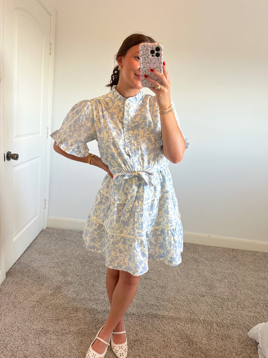 French Garden Mini Dress